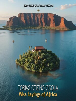 cover image of 3000 Seeds of African Wisdom
